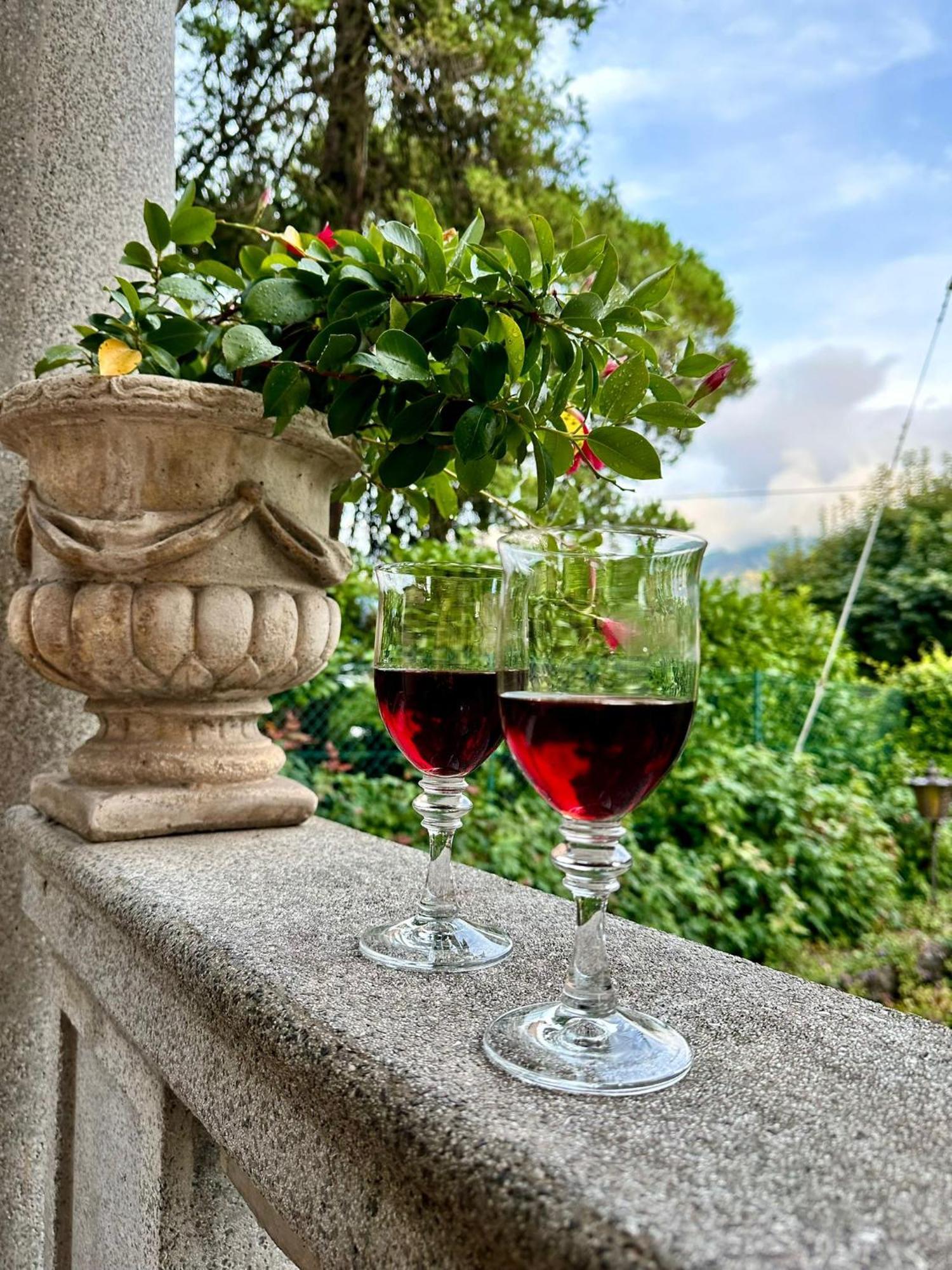 Villa Magnolia - Lake Como Lenno Eksteriør billede